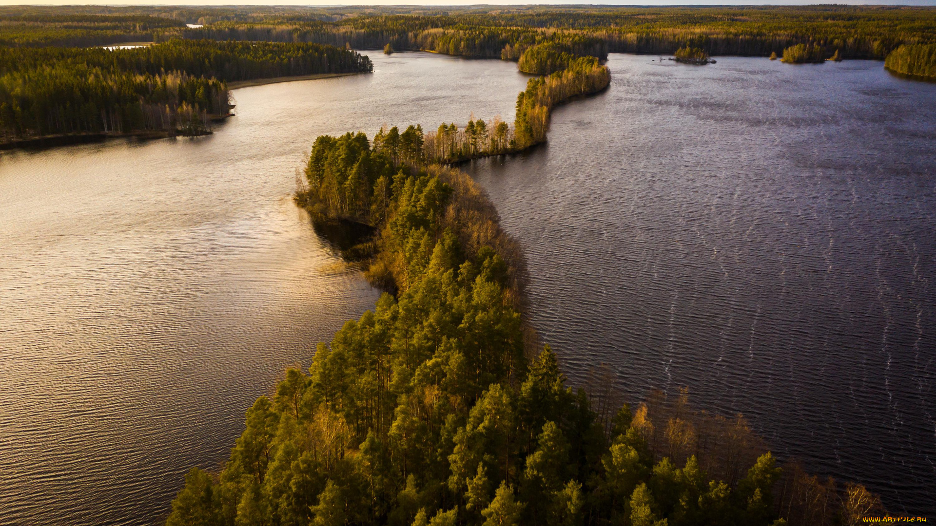 природа, реки, озера, пейзаж, озеро, лес, деревья, вода, закат