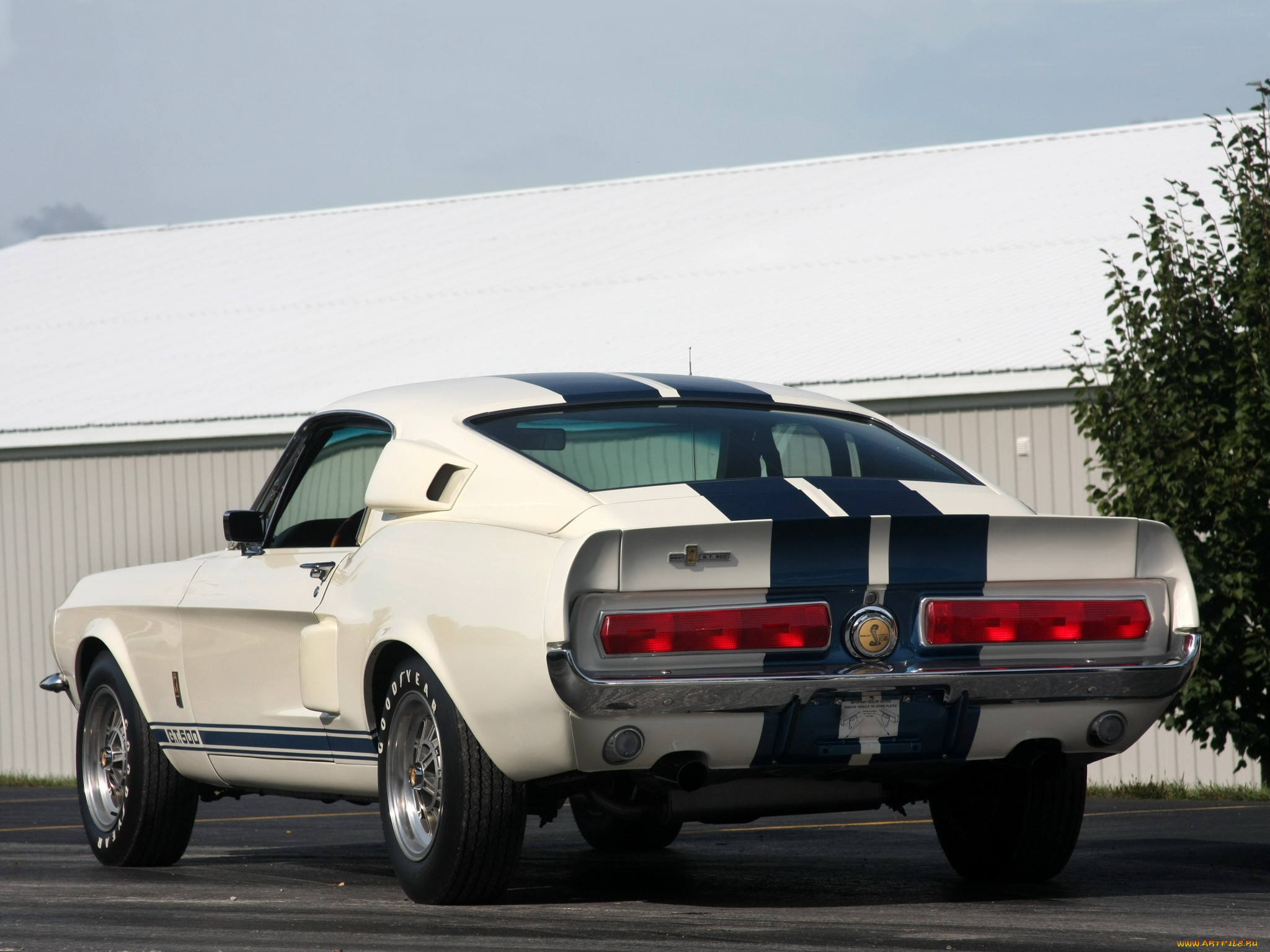 shelby, gt500, автомобили, mustang