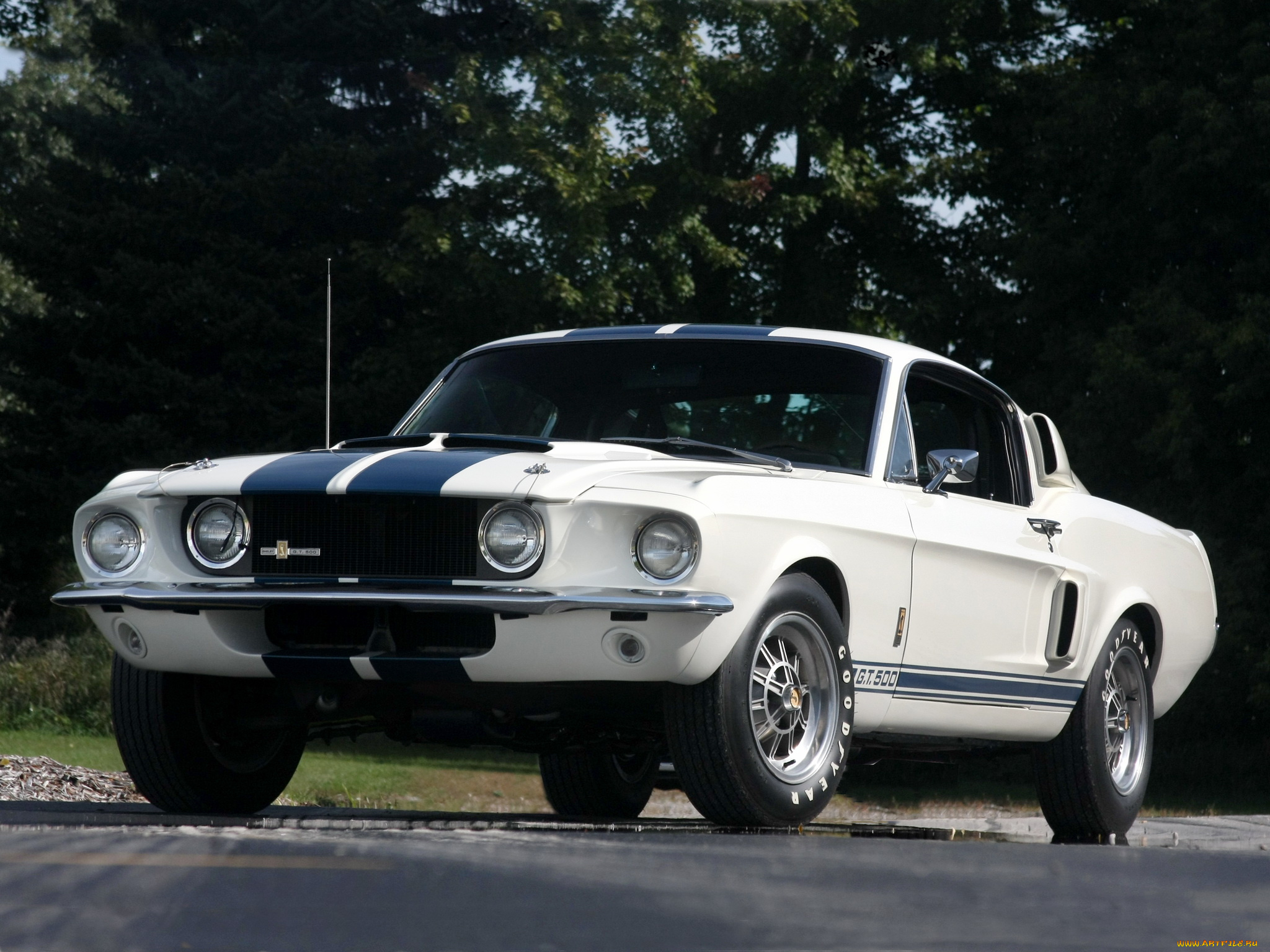 shelby, gt500, автомобили, mustang