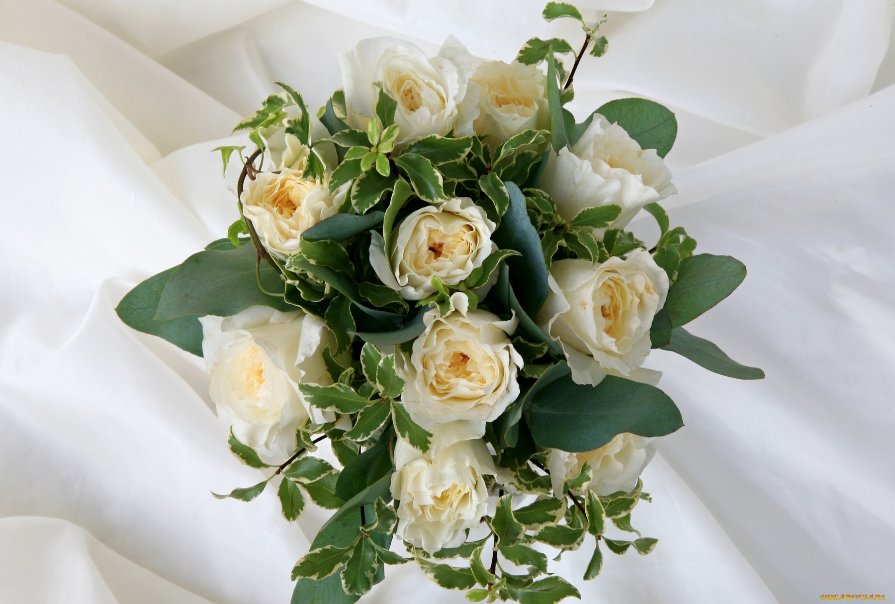 цветы, букеты, композиции, розы, плющ, свадебный
