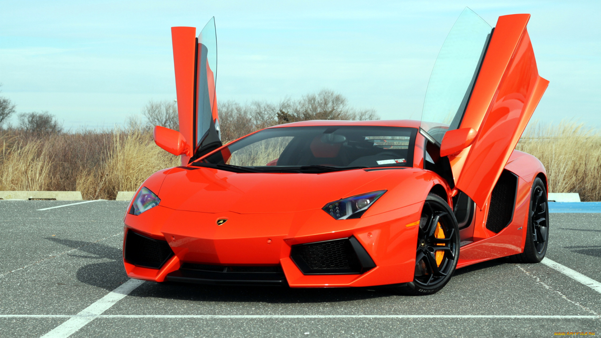 lamborghini, aventador, автомобили, спортивные, класс-люкс, automobili, holding, s, p, a, италия