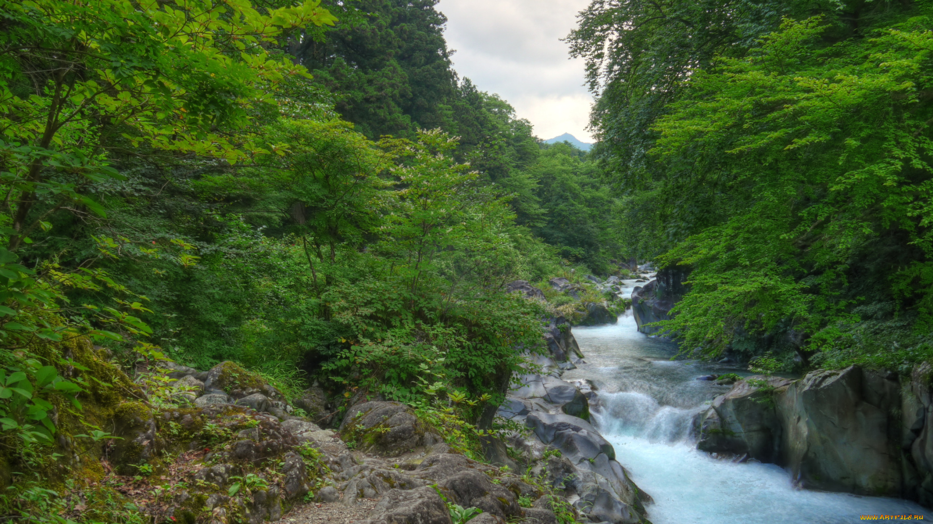 nikko, Япония, природа, реки, озера, лес, поток, река