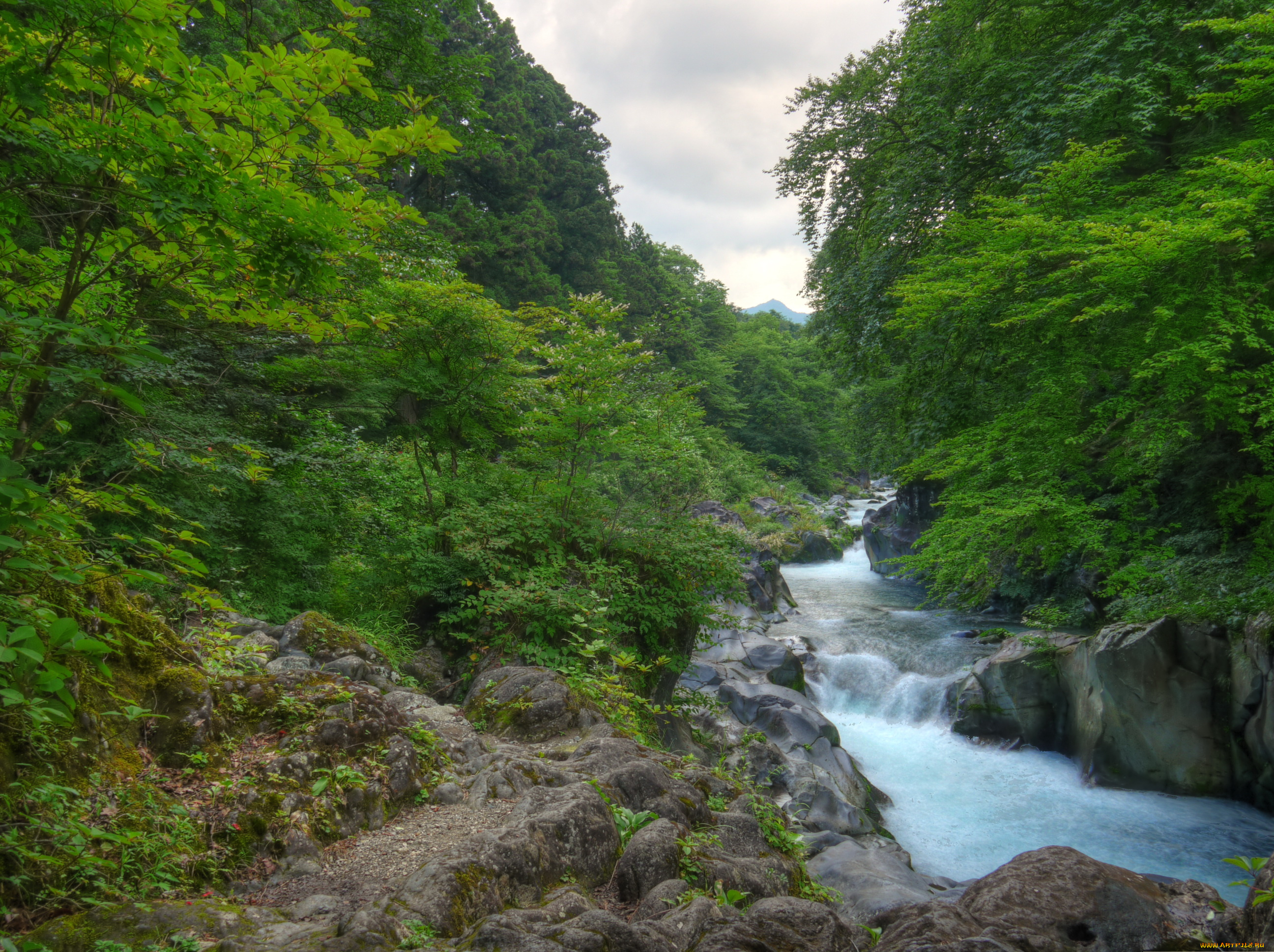nikko, Япония, природа, реки, озера, лес, поток, река