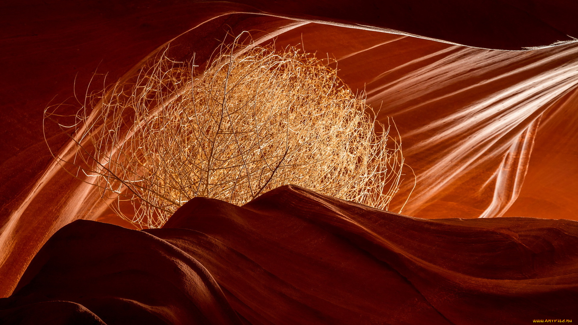 природа, горы, antelope, canyon, цвет