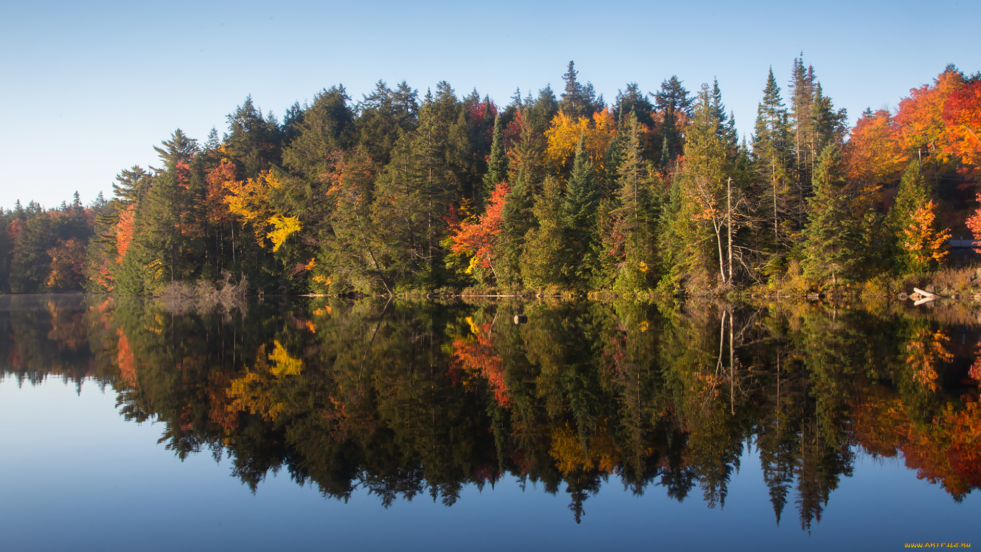 природа, реки, озера, деревья, озеро, лес, отражение, осень