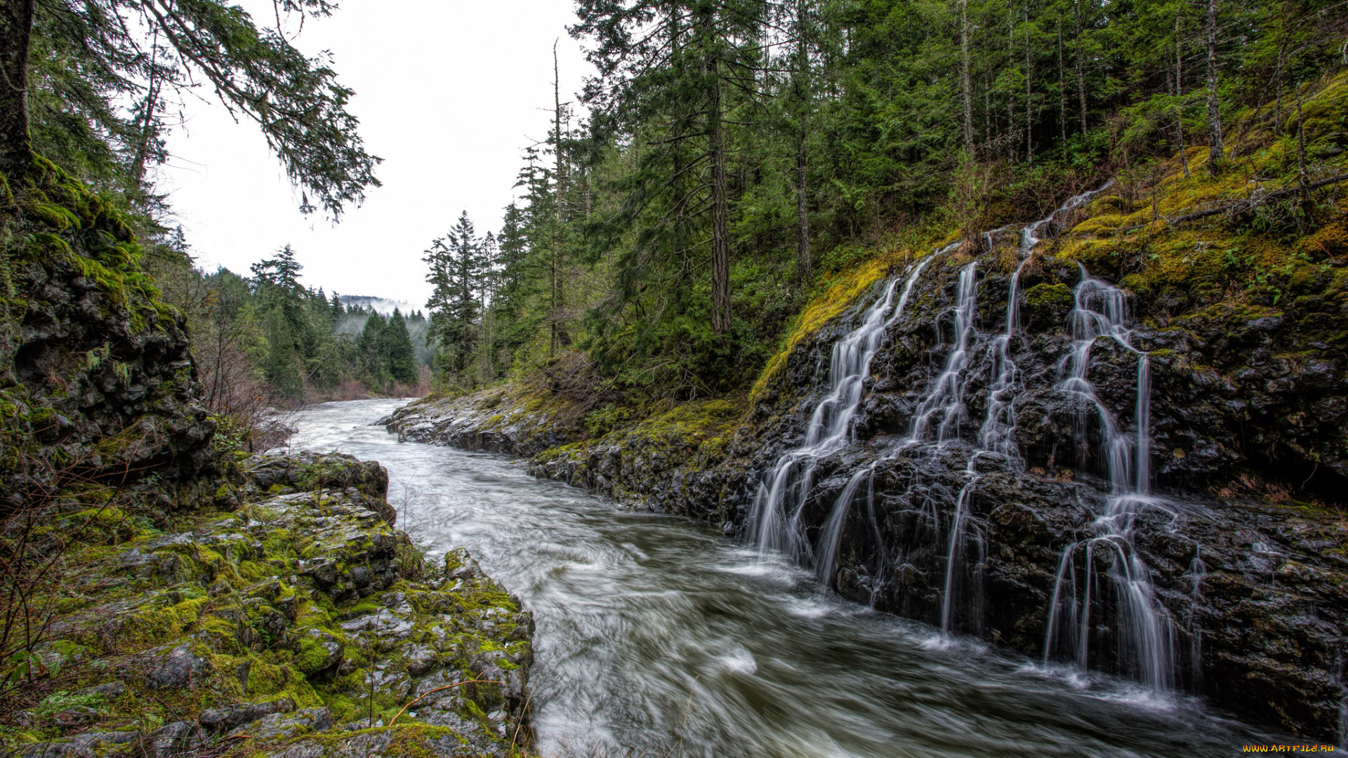 природа, водопады, водопад, река, лес