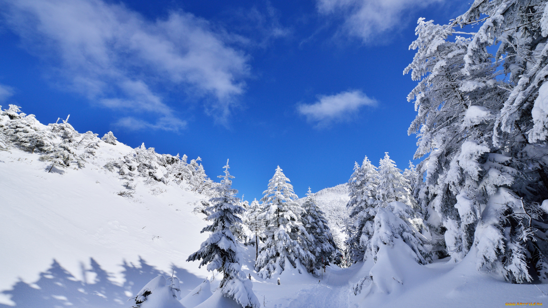 природа, зима, деревья, горы, облака, небо, ели, снег