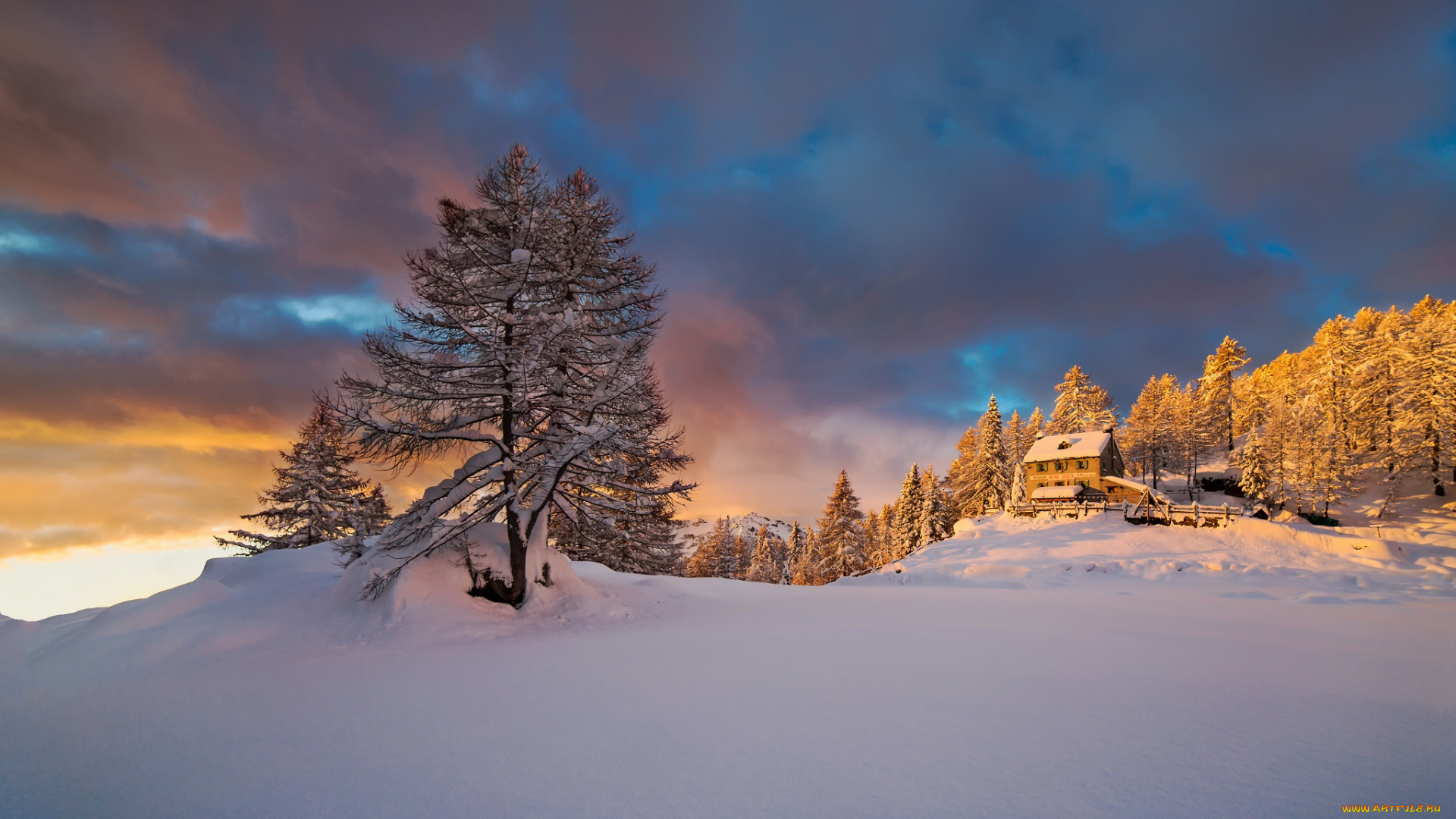 природа, зима, снег, утро, Январь, альпы, горы, пьемонт, италия, свет