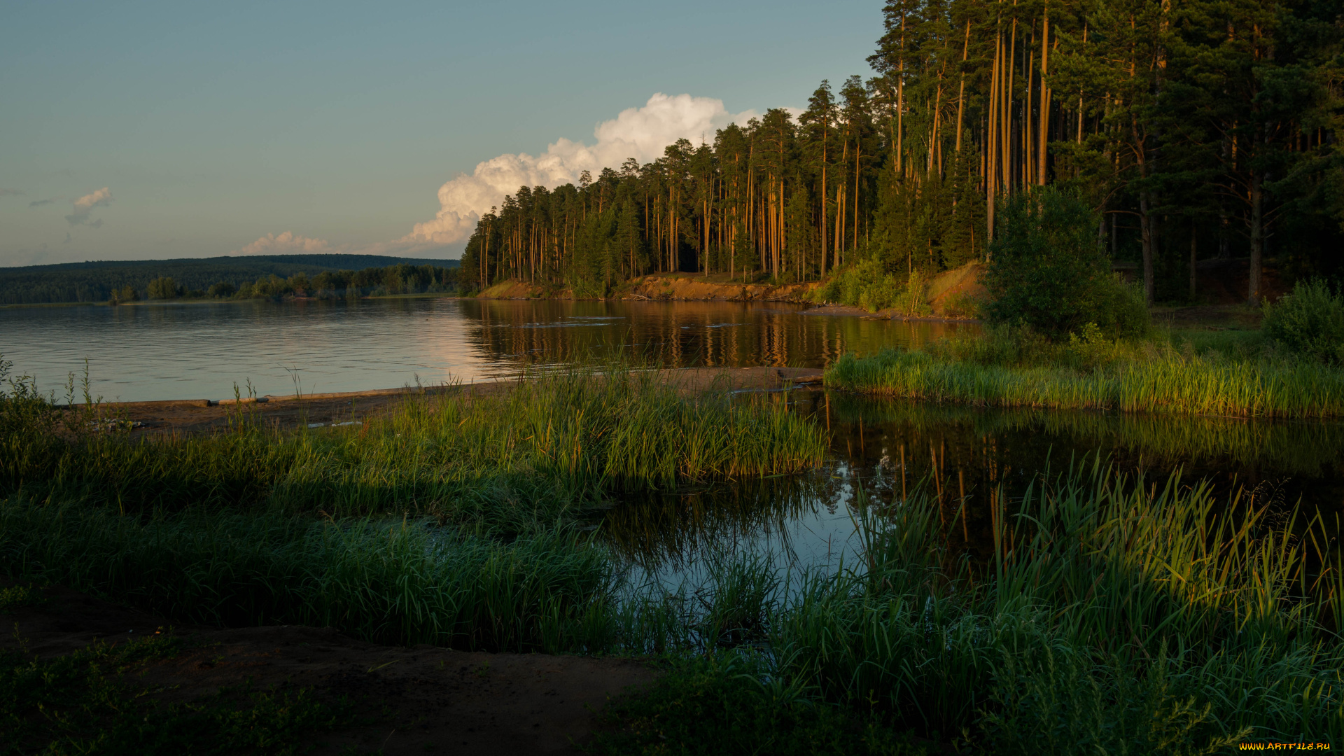 река, кама, природа, реки, озера, деревья, сосны, река, лес, трава, вечер, заводь