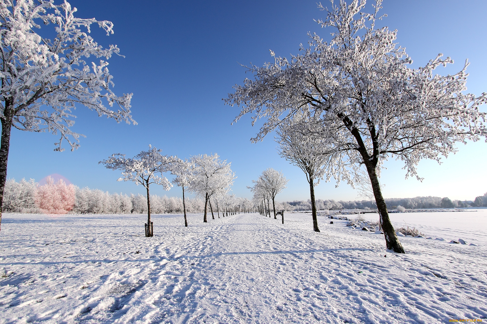 природа, зима, снег, деревья, поле