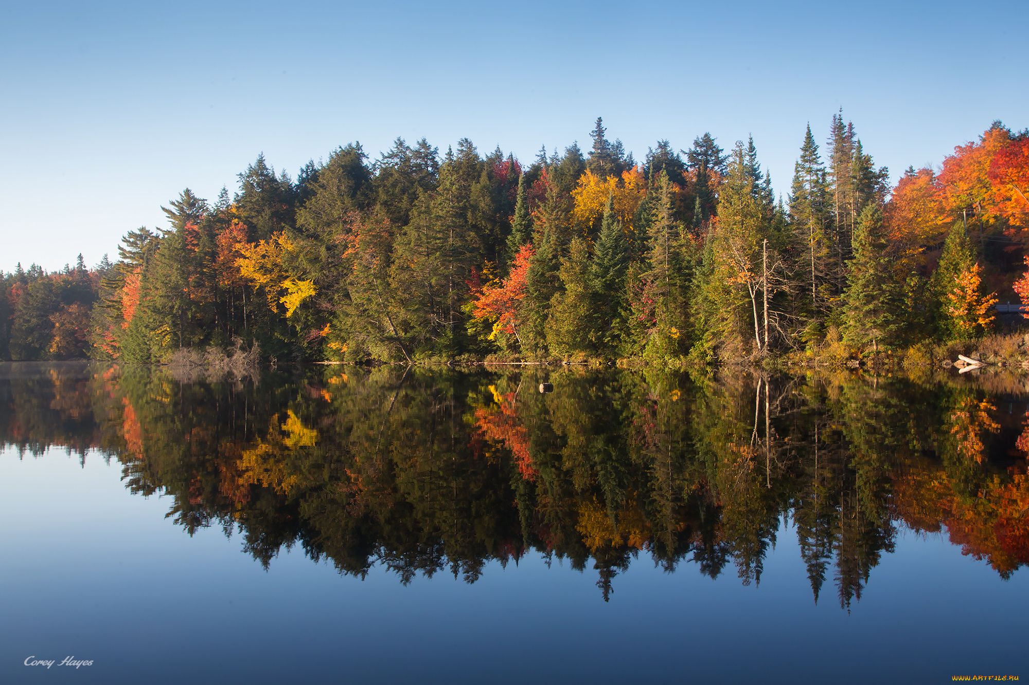 природа, реки, озера, деревья, озеро, лес, отражение, осень