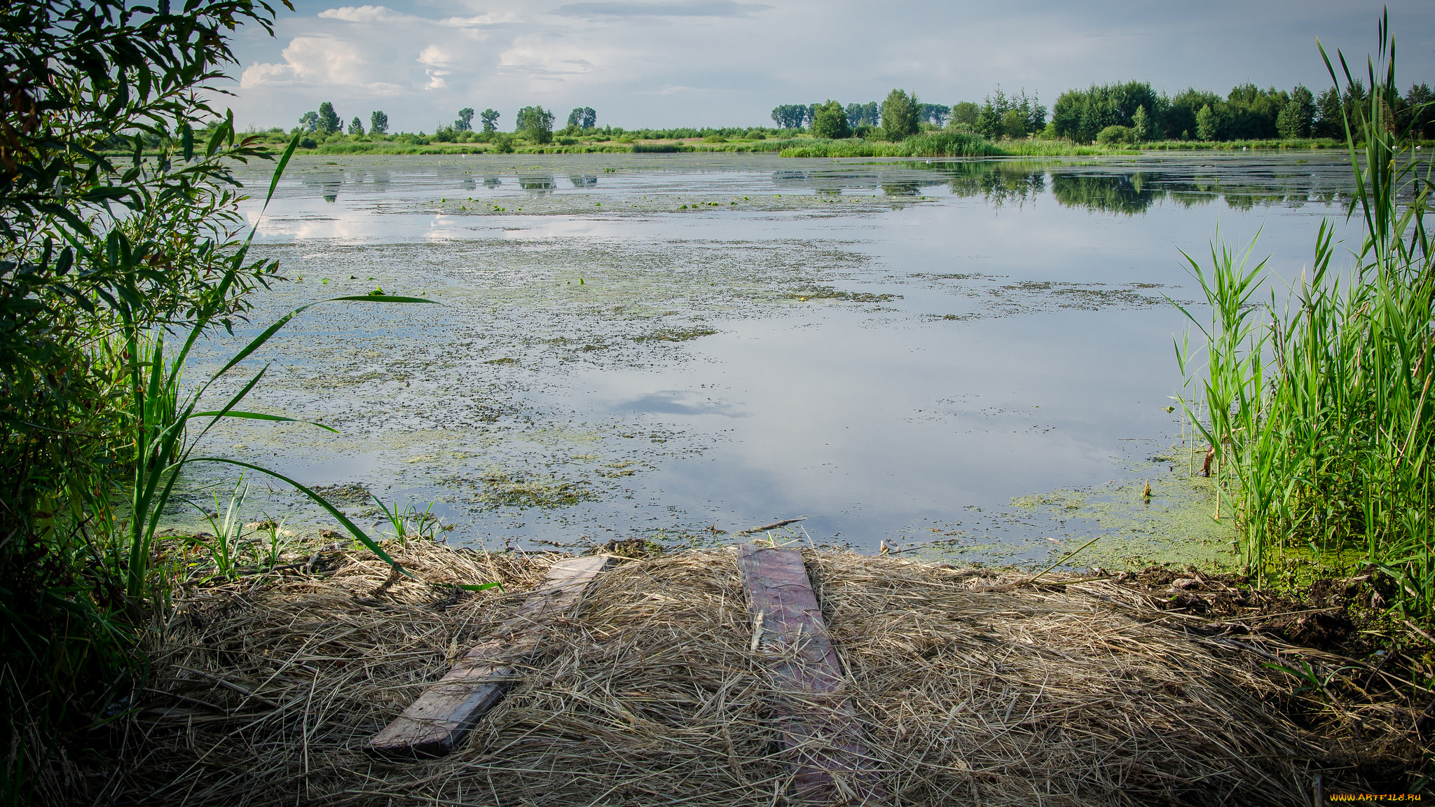 природа, реки, озера, река, лес