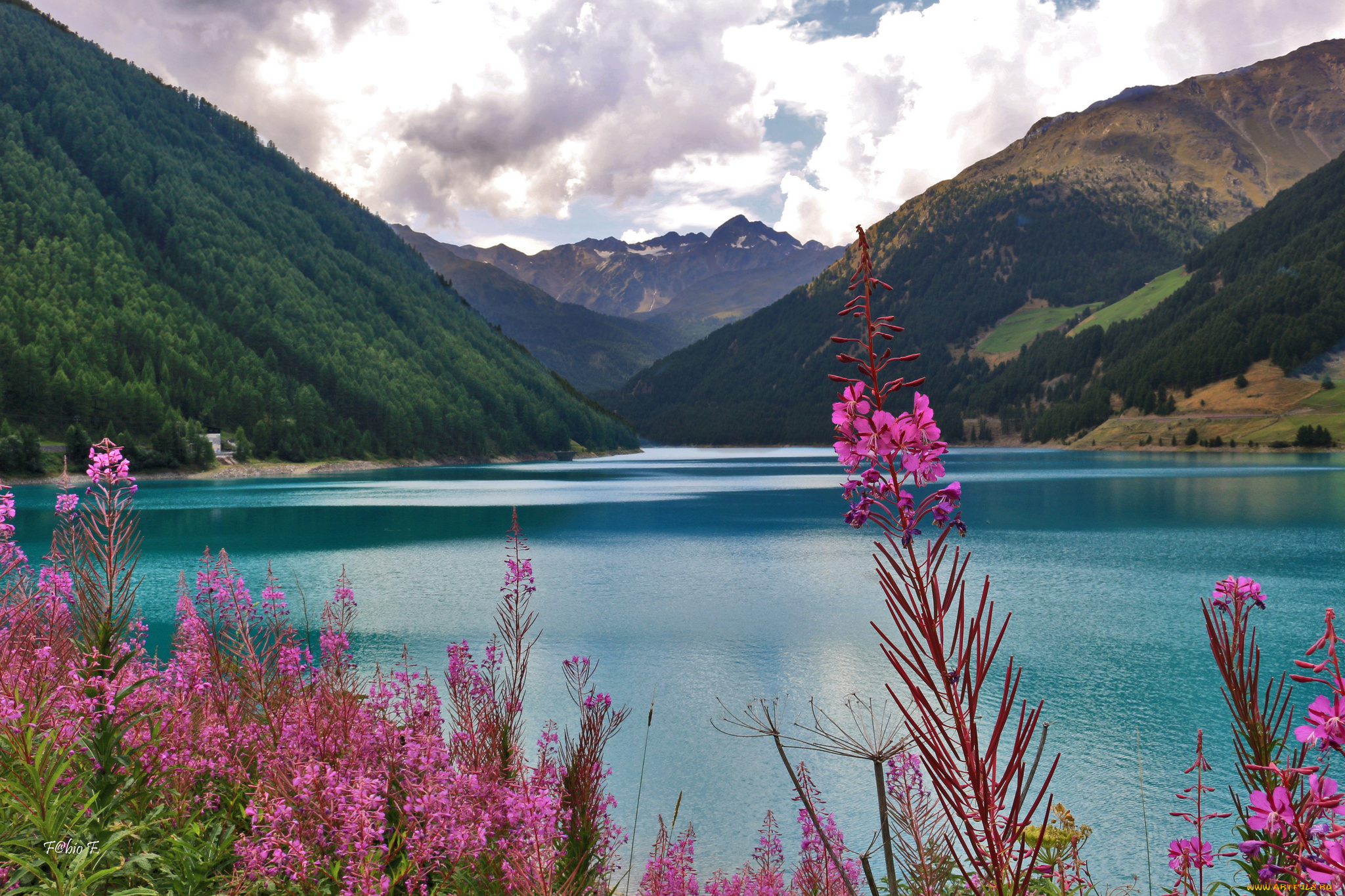 природа, реки, озера, цветы, горы, озеро