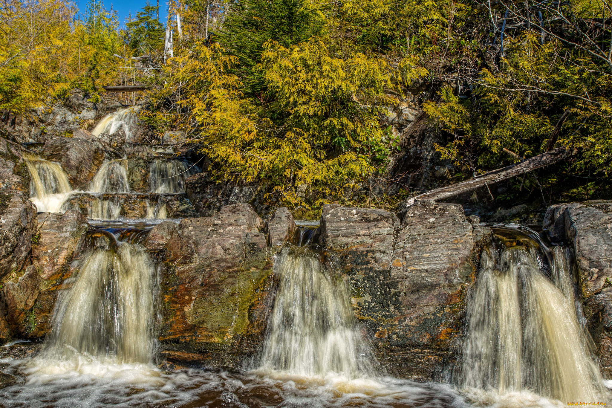 природа, водопады, водопад, река, лес