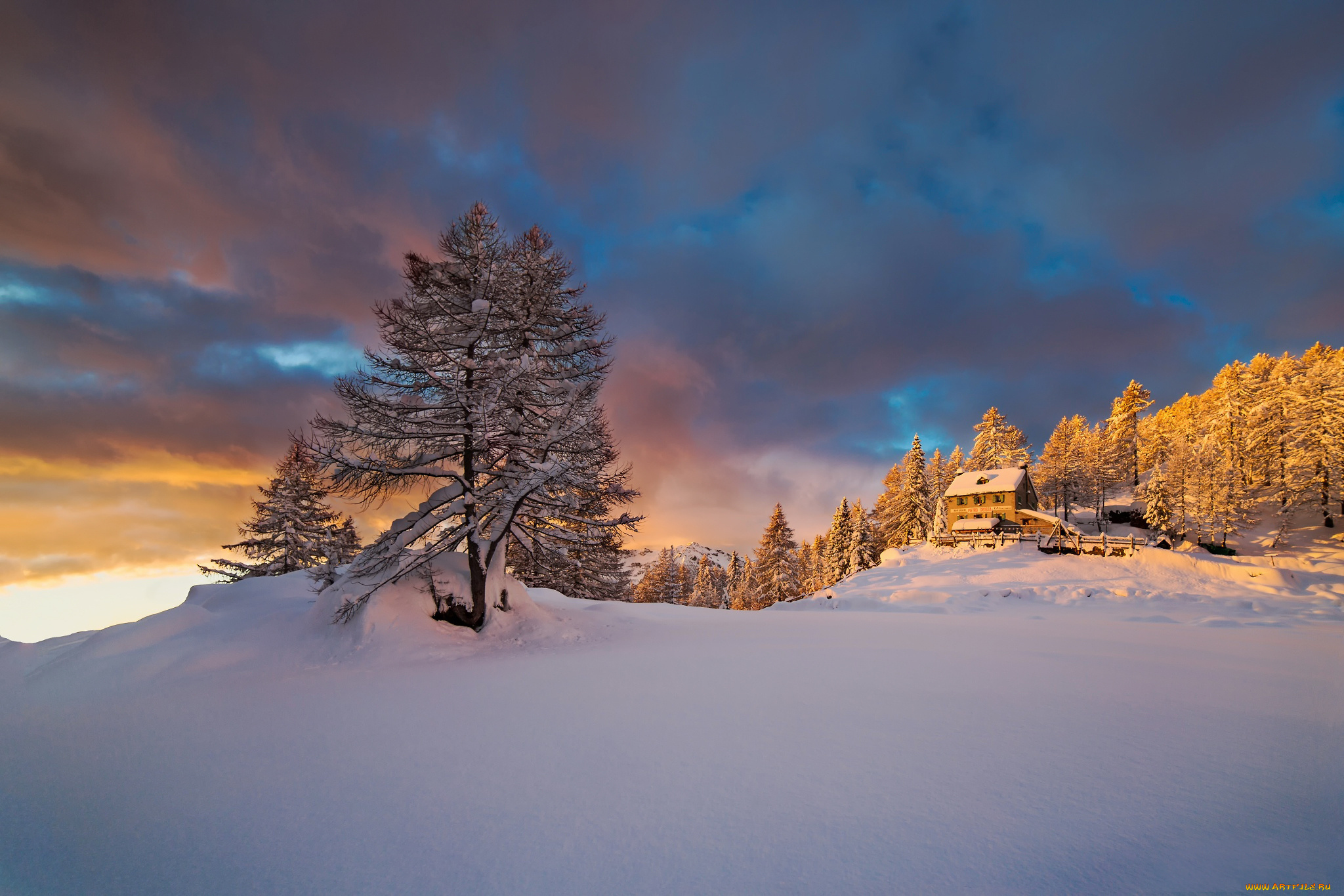 природа, зима, снег, утро, Январь, альпы, горы, пьемонт, италия, свет