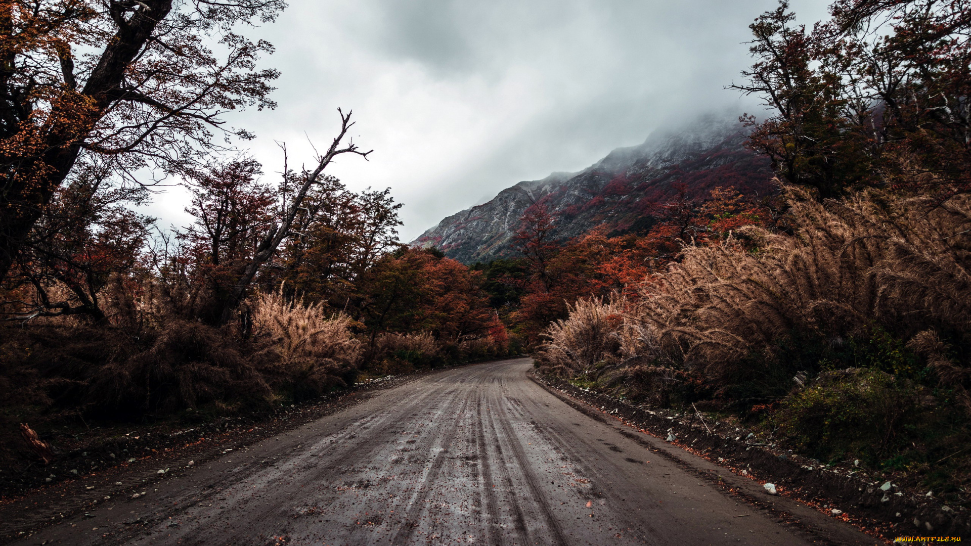 природа, дороги, листопад, осень, дорога