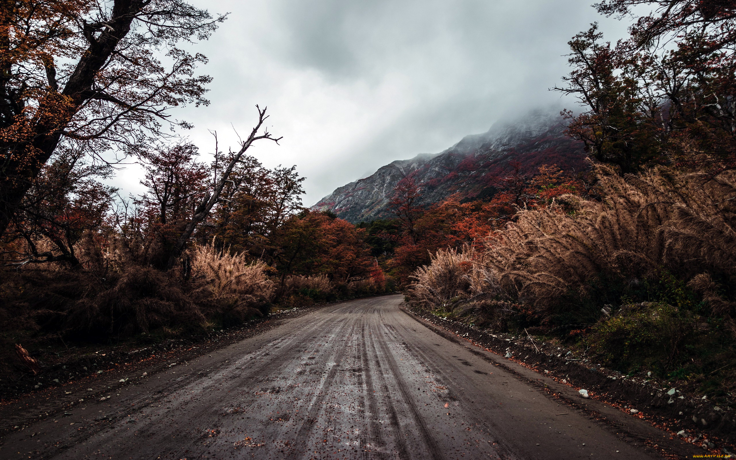 природа, дороги, листопад, осень, дорога