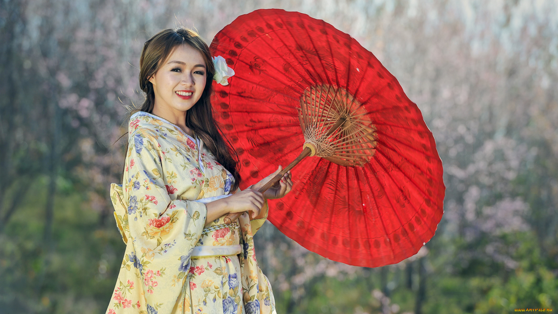 девушки, -, азиатки, кимоно, зонт, сад, улыбка