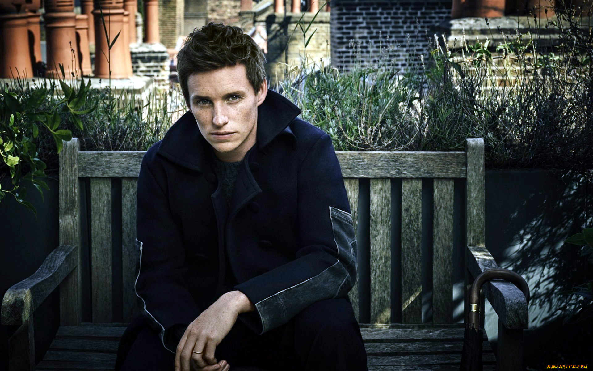 eddie, redmayne, мужчины, eddie, redmayne