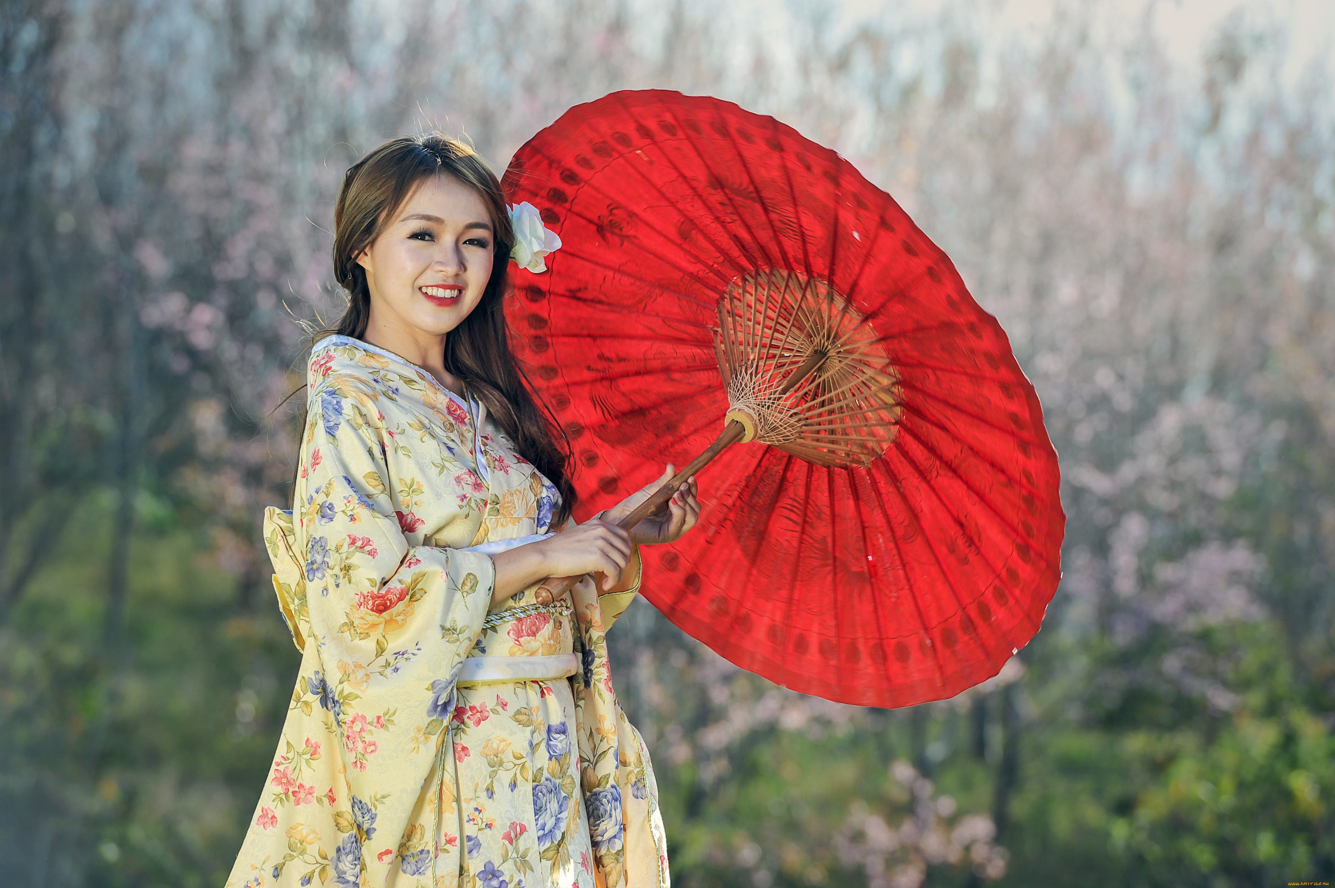 девушки, -, азиатки, кимоно, зонт, сад, улыбка