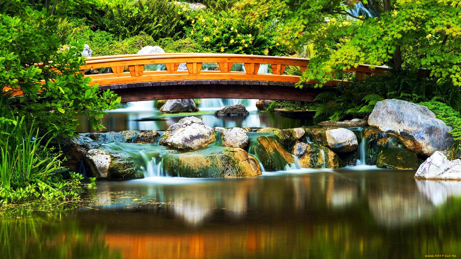 japanese, garden, vienna, austria, природа, парк, japanese, garden