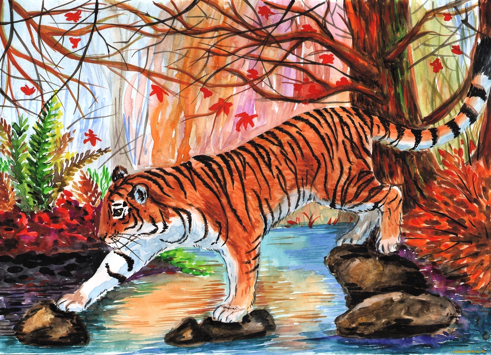 рисованное, животные, , тигры, тигр, ручей, осень