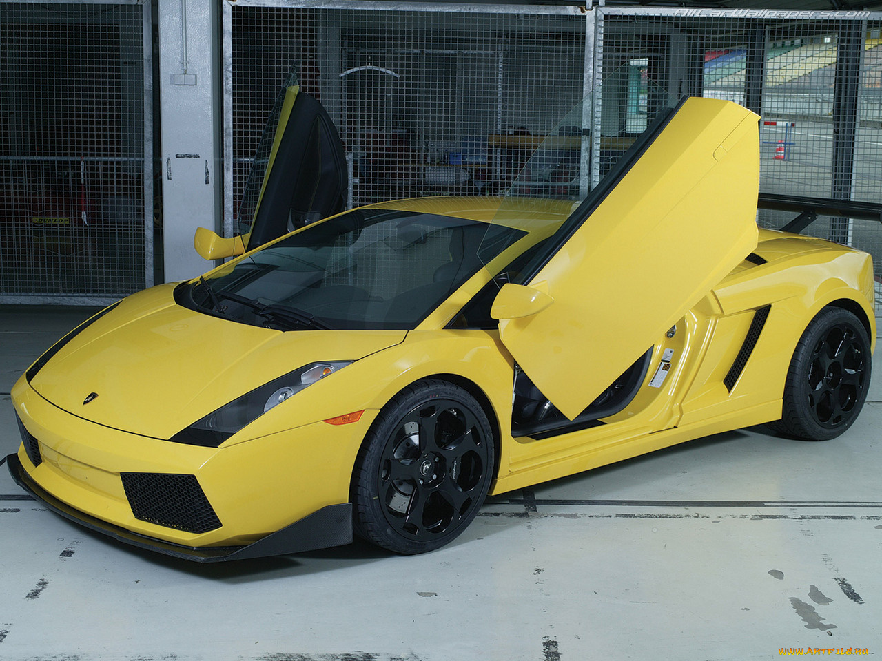 автомобили, lamborghini