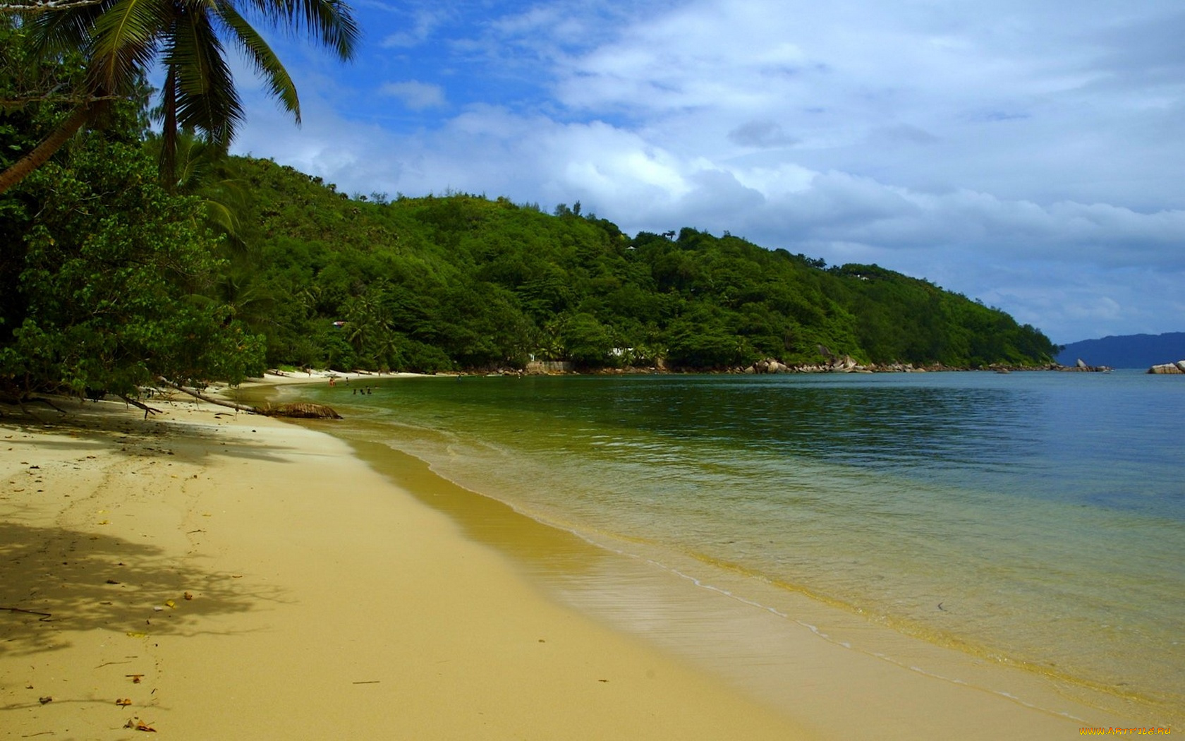 seychelles, природа, побережье