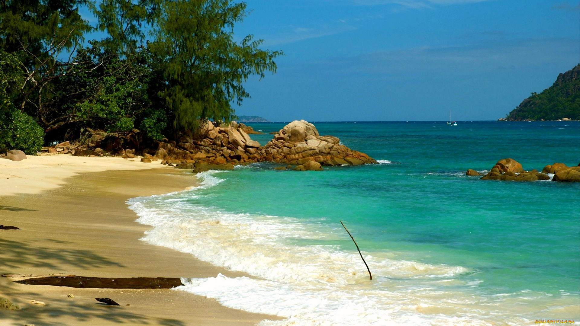 praslin, seychelles, природа, побережье