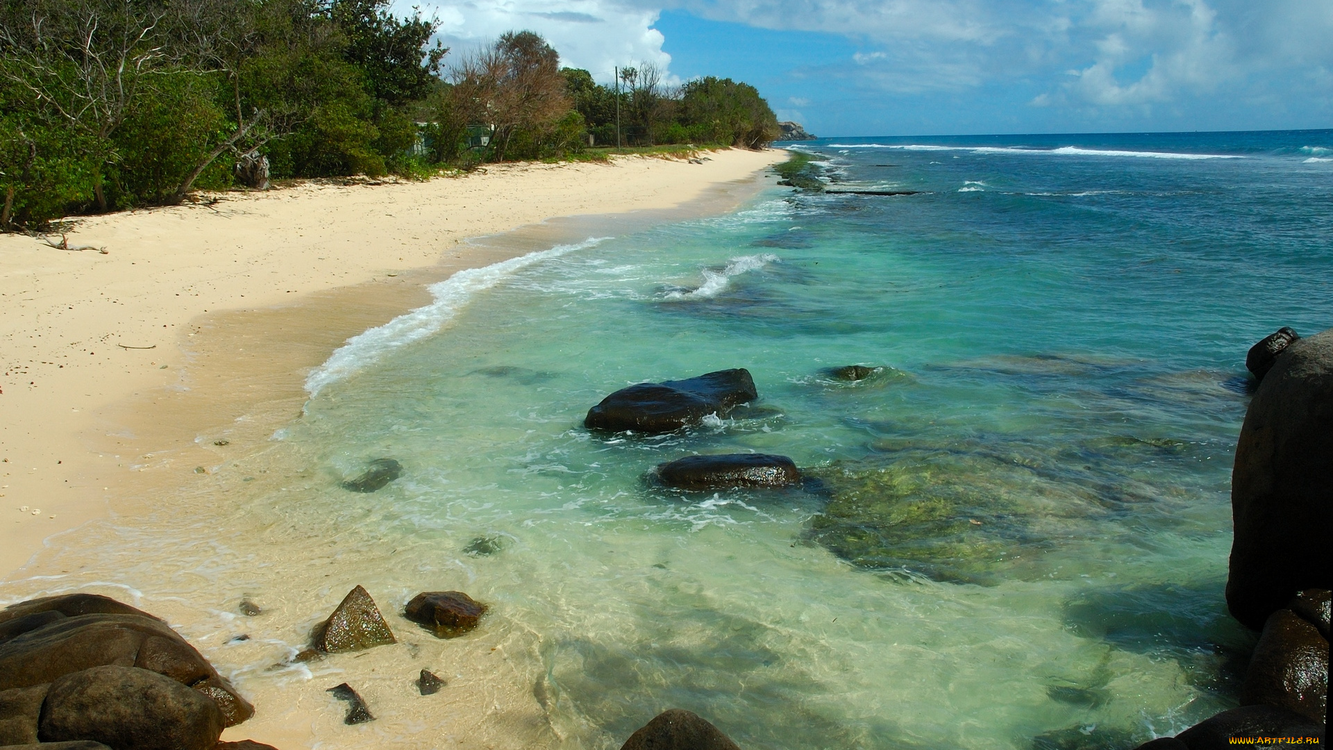 seychelles, north, east, point, природа, побережье