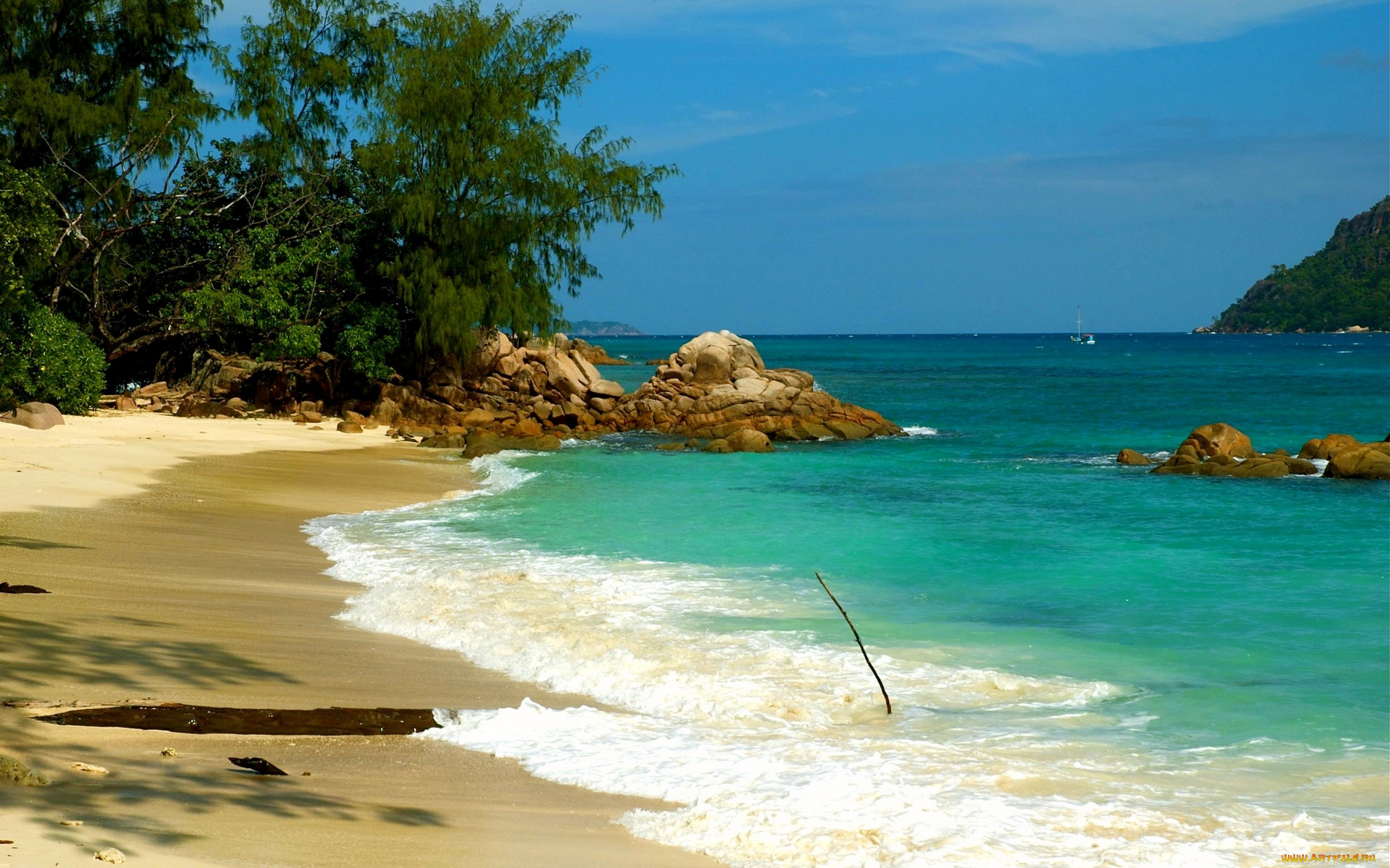 praslin, seychelles, природа, побережье