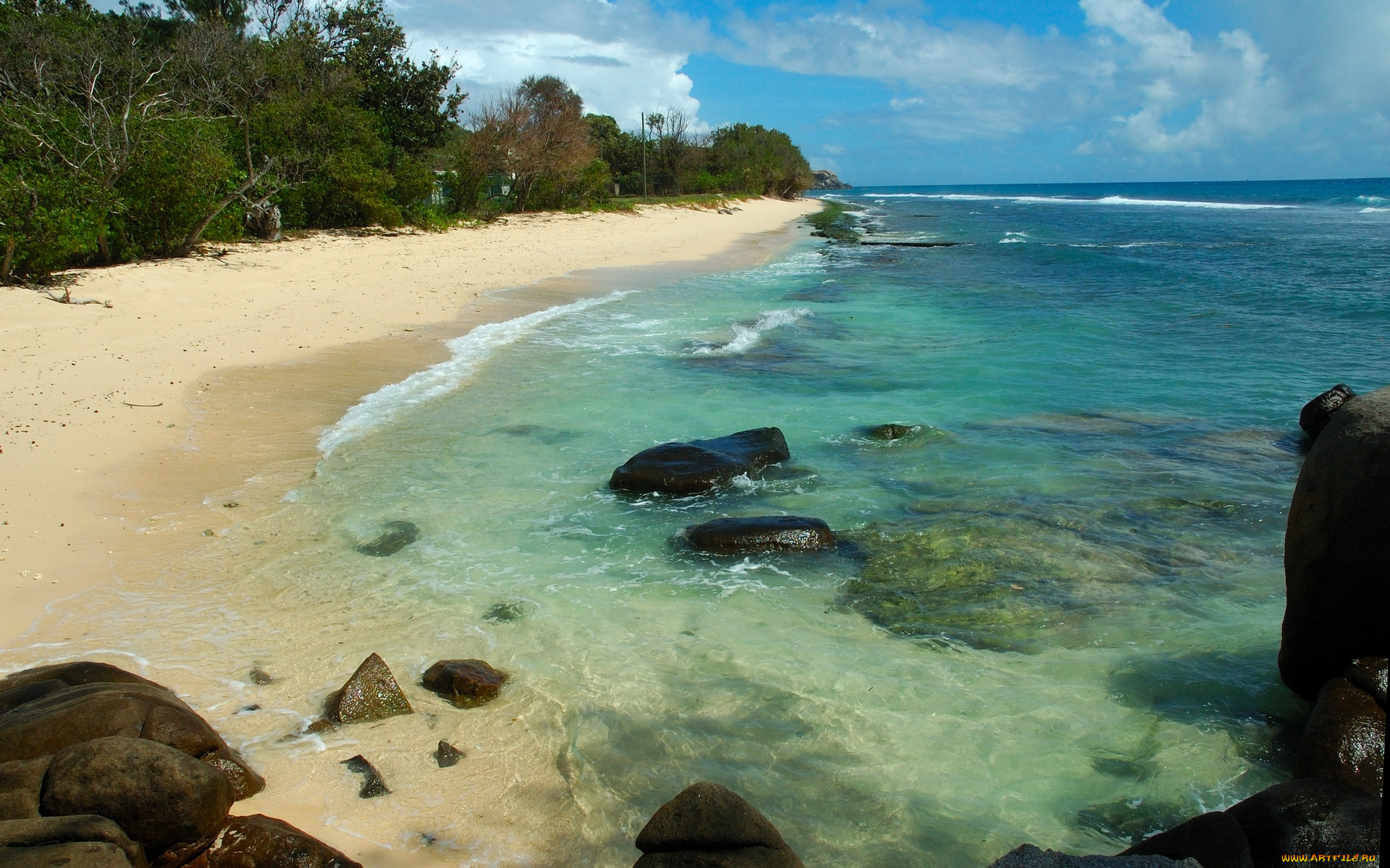 seychelles, north, east, point, природа, побережье