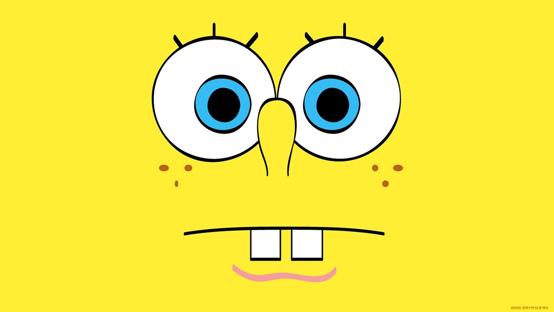 мультфильмы, spongebob, squarepants, фон, глаза, боб, губка