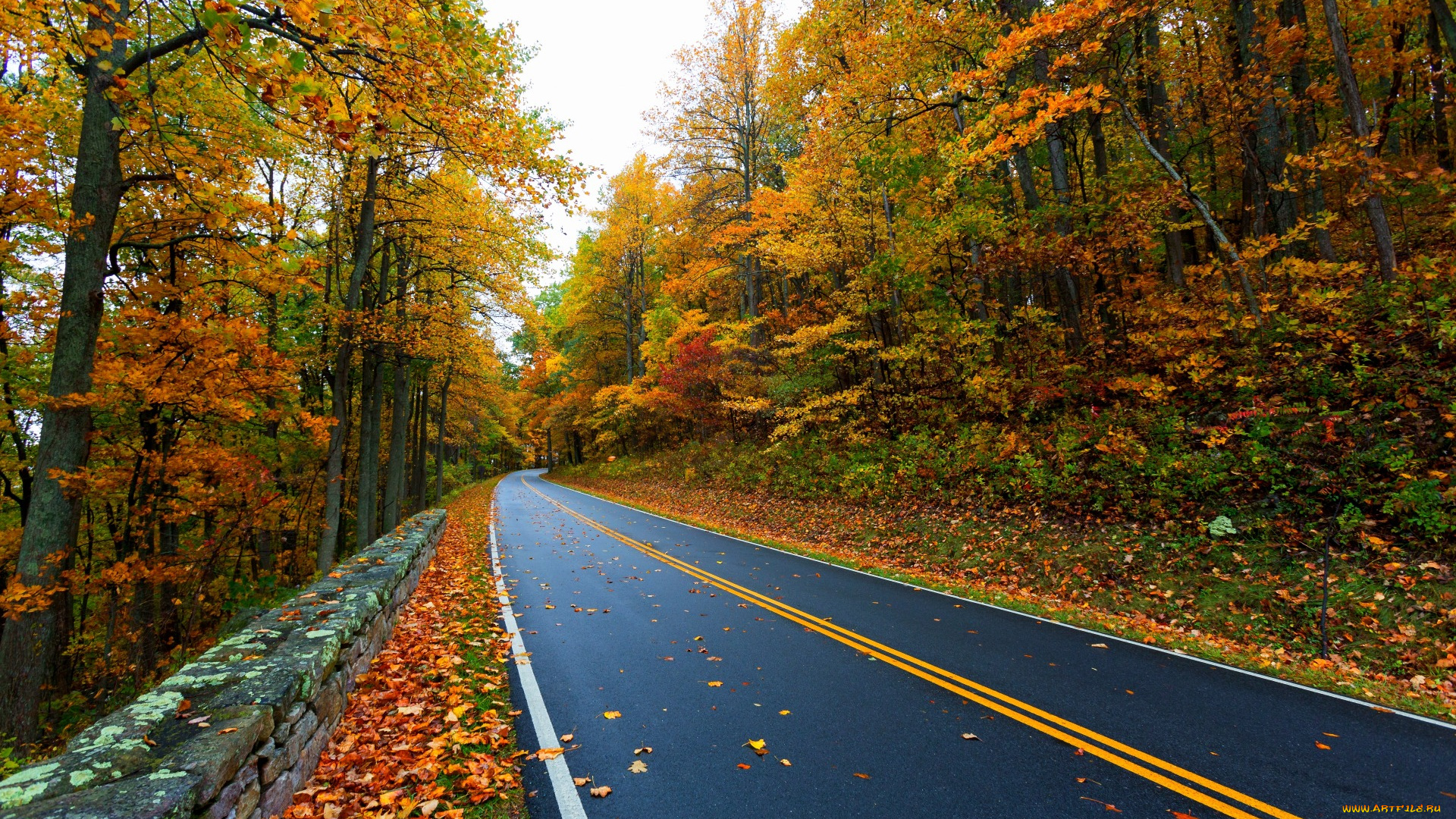 природа, дороги, colors, fall, path, autumn, road, colorful, leaves, mountain, trees, nature, дорога, осень, листья, walk