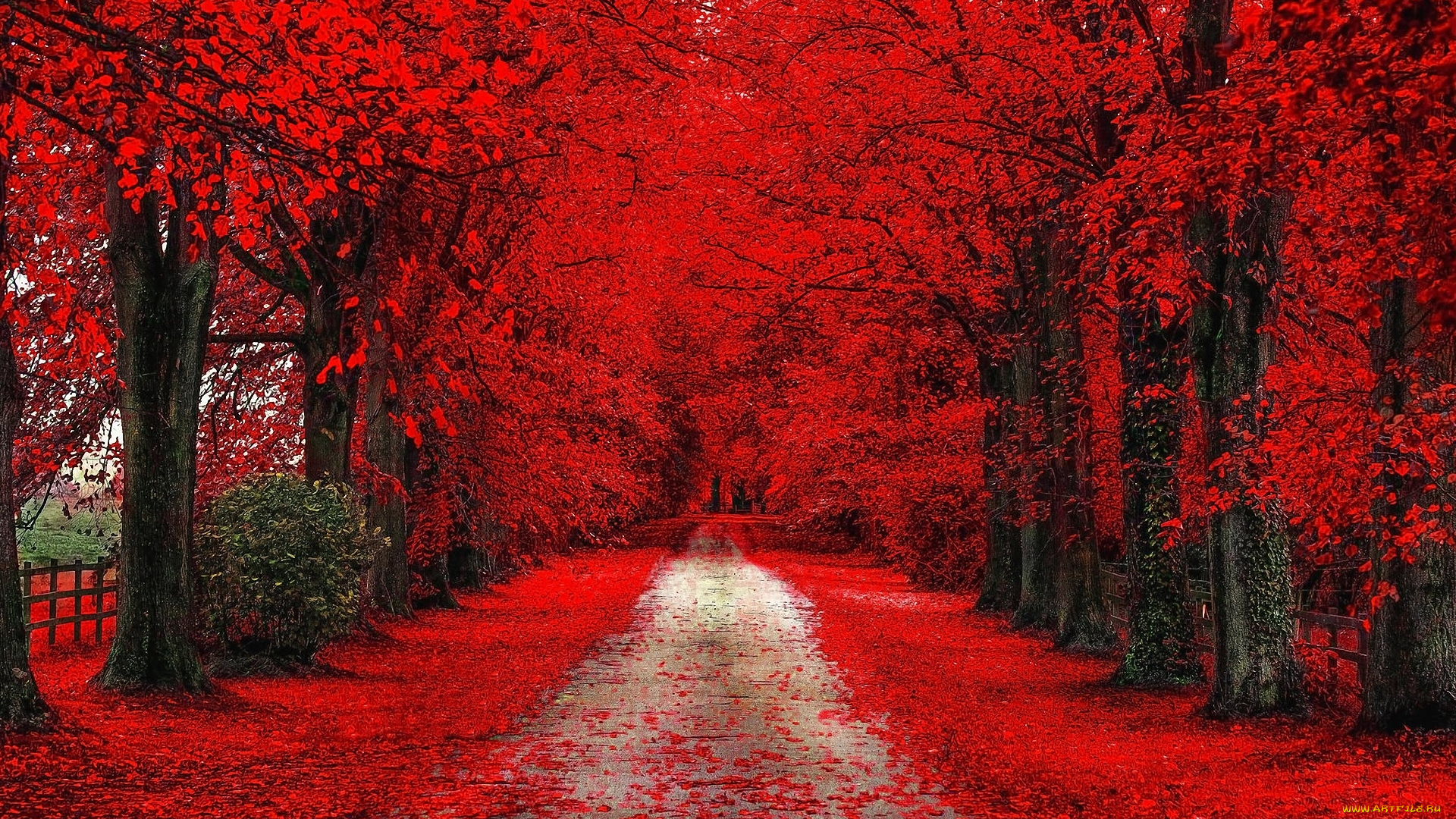 природа, дороги, дорога, осень