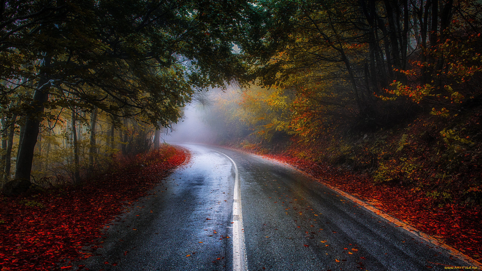 природа, дороги, path, осень, road, colorful, fall, листья, walk, autumn, trees, park, forest, деревья, colors, leaves, парк, лес, дорога, nature