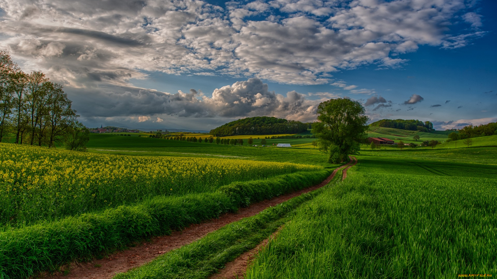 природа, дороги, road, path, красивый, небо, sky, view, scenery, landscape, nature, пейзаж, вид, beautiful, clouds, trees, field, sunset, закат, облака, деревья, поле