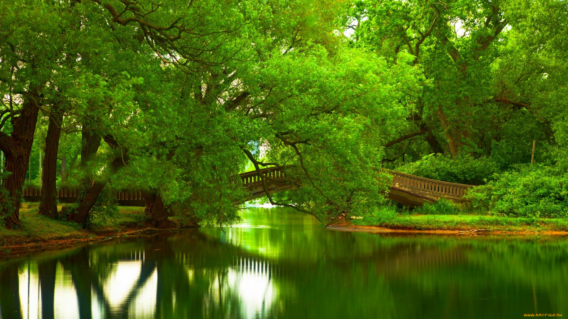 природа, парк, nature, river, water, forest, park, trees, bridge, leaves, colorful, spring, fall, colors, walk, листья, деревья, лес, горы, река, вода, мост