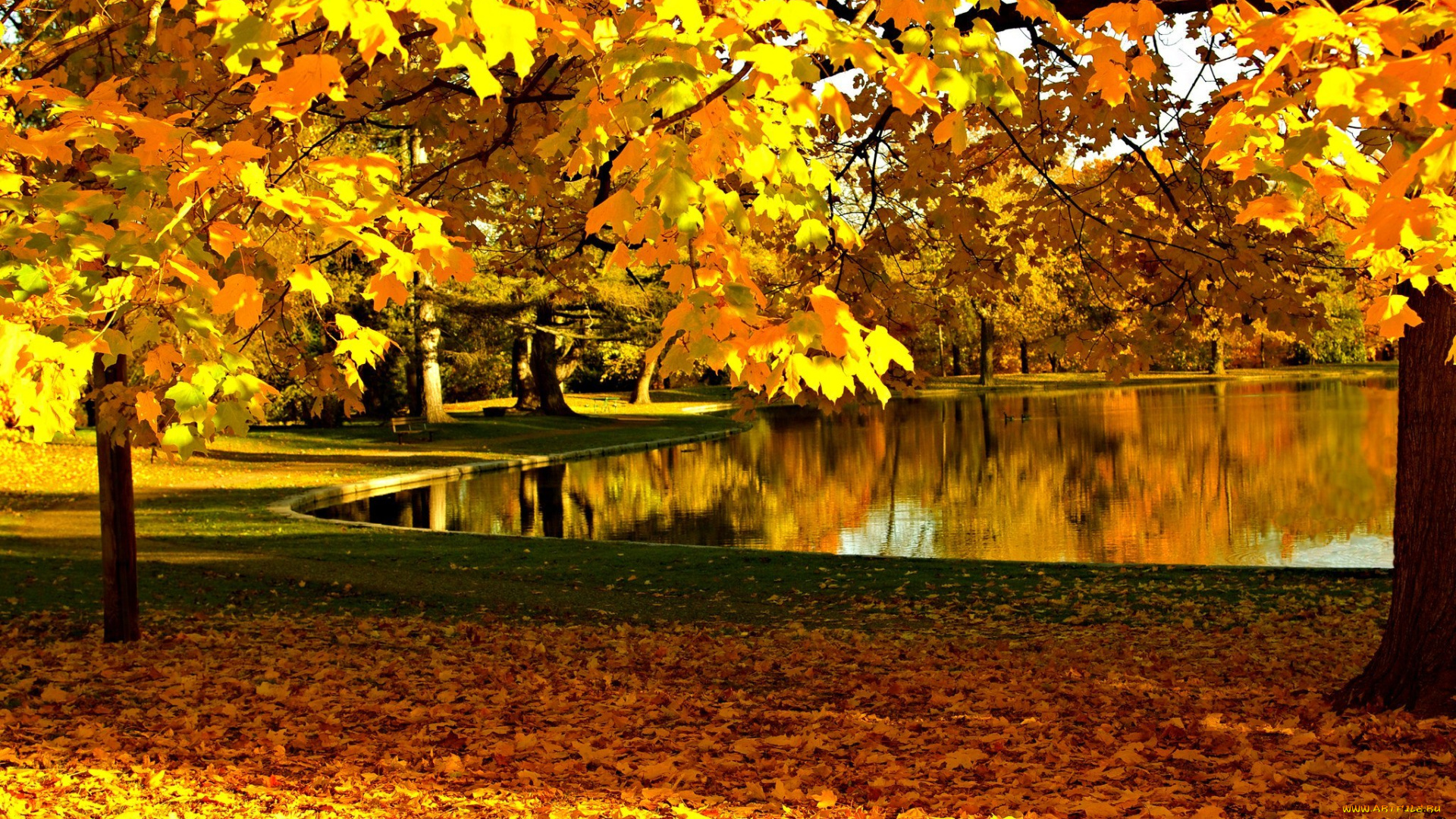 природа, реки, озера, nature, sky, river, water, forest, park, trees, leaves, colorful, autumn, fall, colors, walk, листья, осень, деревья, лес, парк, горы, небо, река, вода