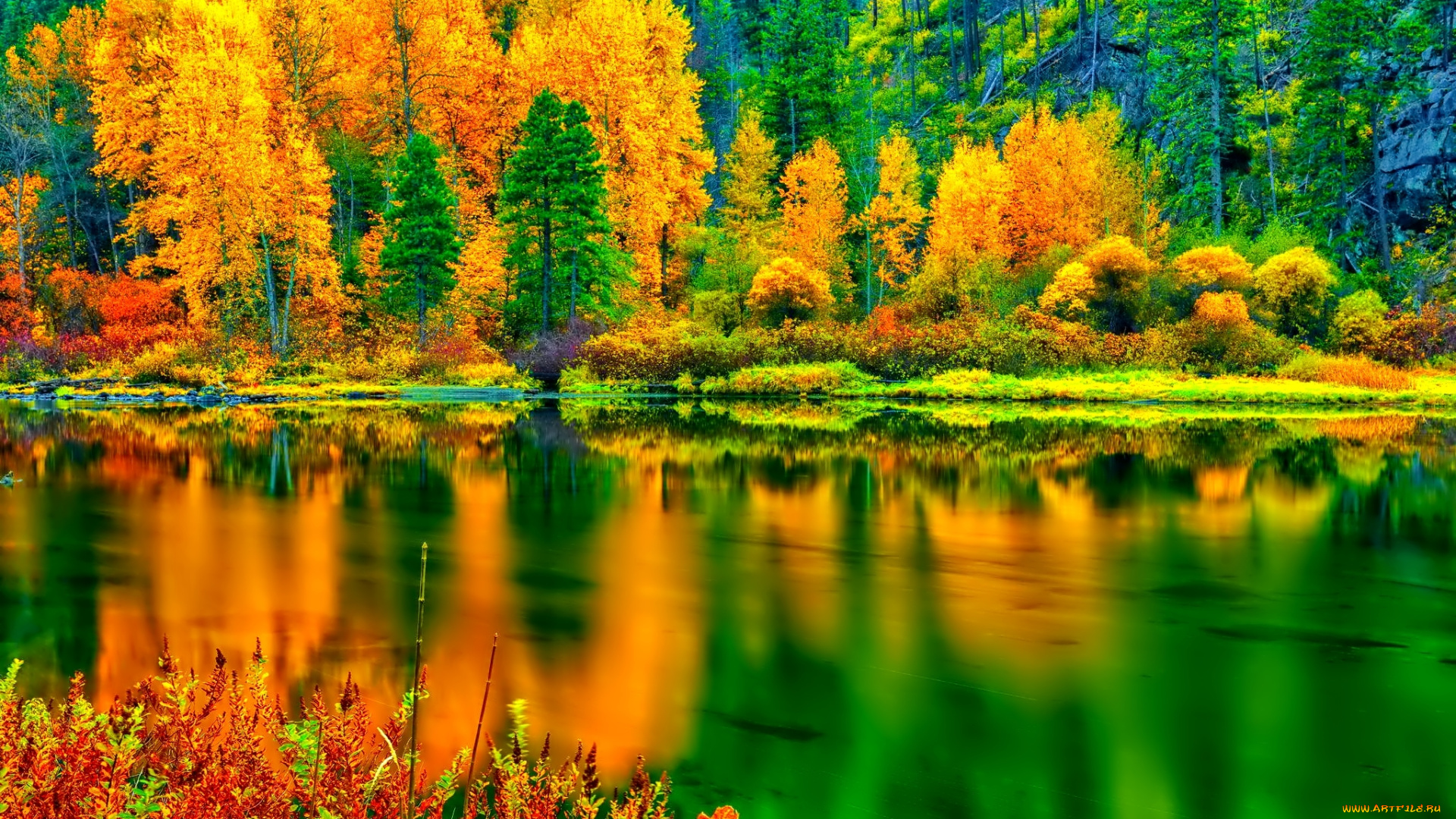 природа, реки, озера, озеро, отражение, осень, деревья, склон, лес
