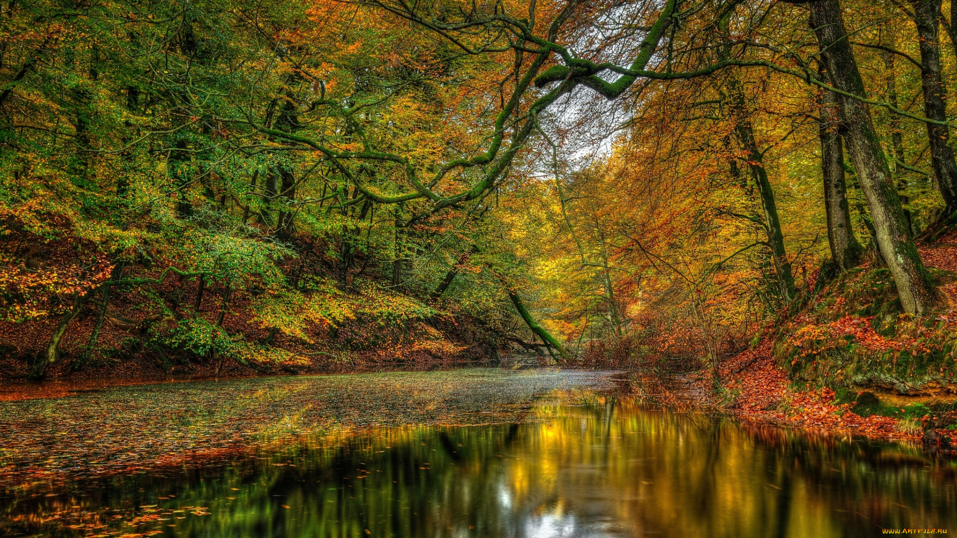 природа, реки, озера, пейзаж, лес, деревья, осен, nature, river, landscape, forest, trees, autumn, scenery, view