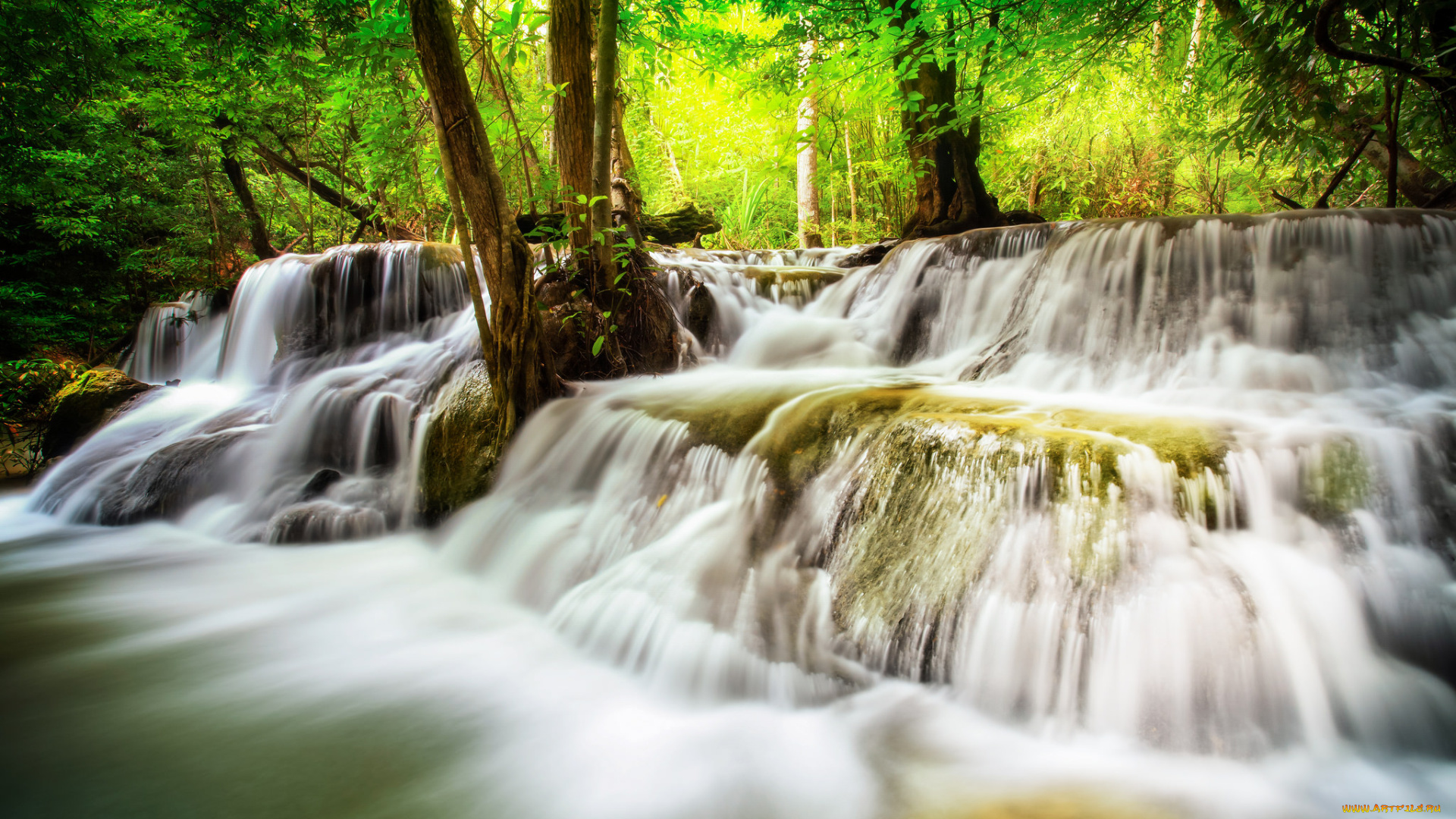 природа, водопады, лес, река, водопад