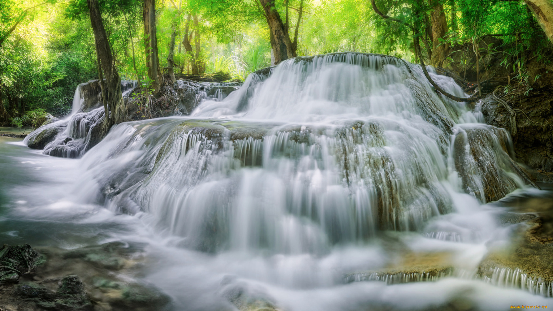 природа, водопады, лес, река, водопад