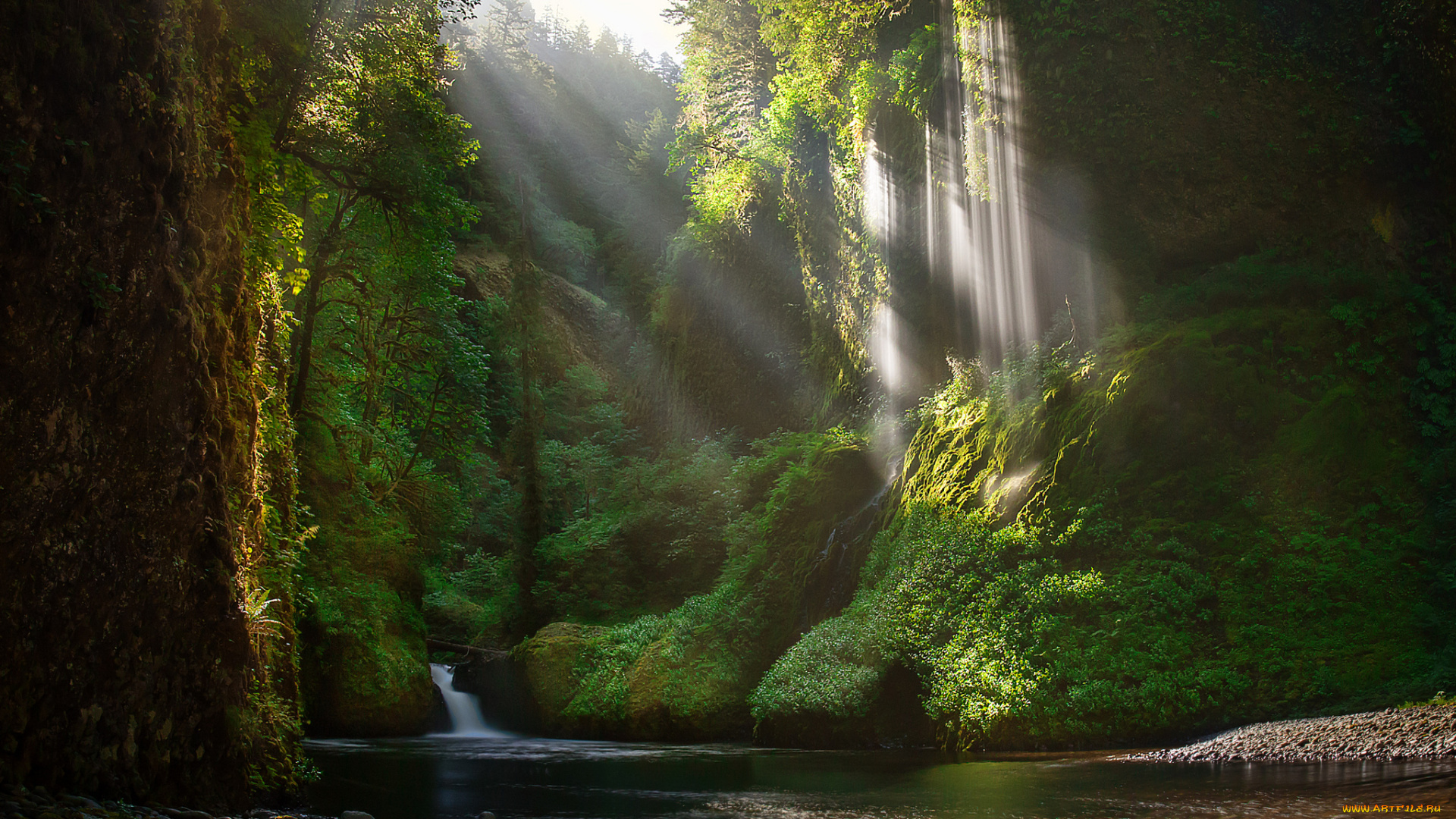 природа, водопады, лес, река, водопад