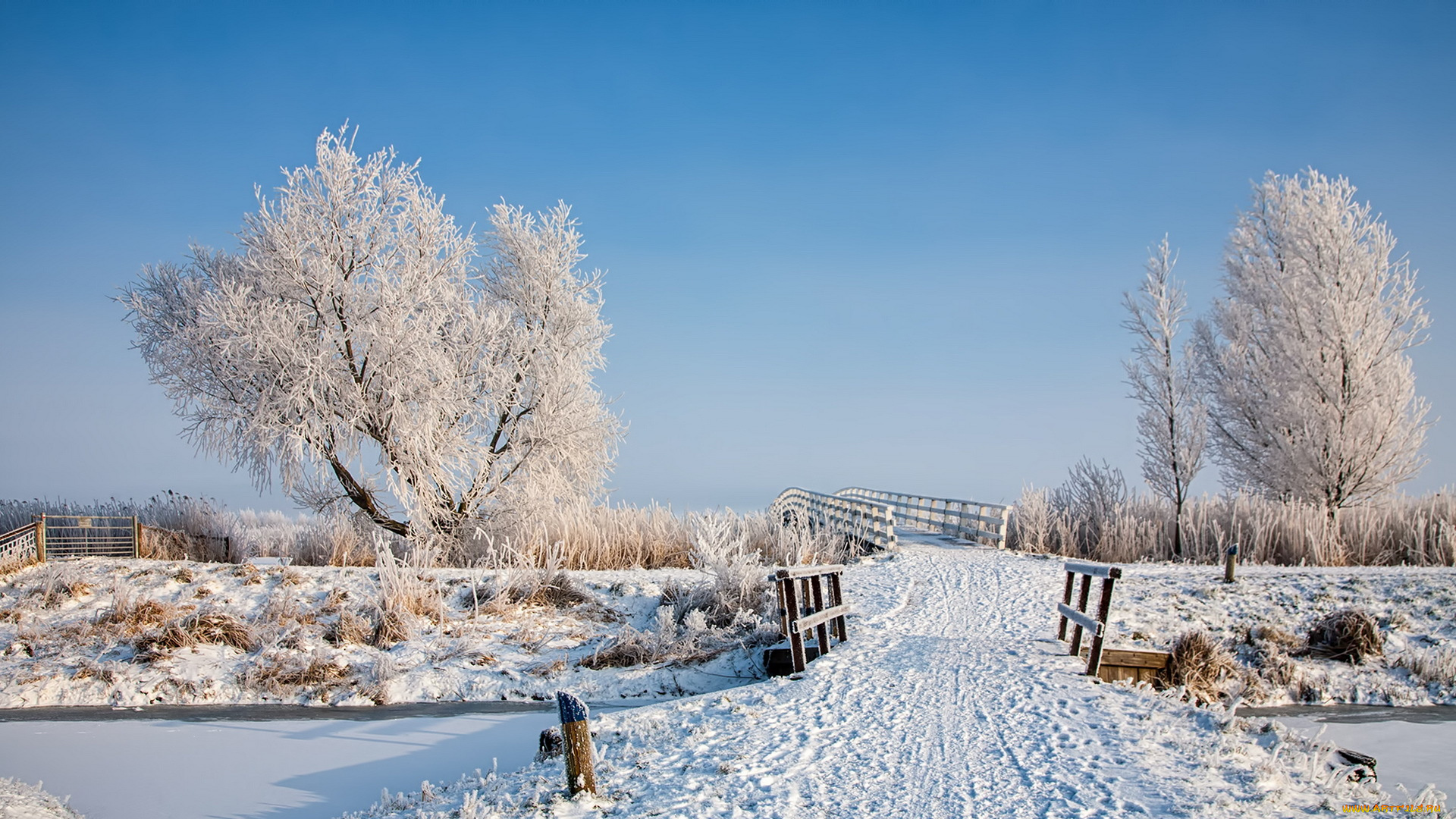 природа, зима, деревья, мост, снег