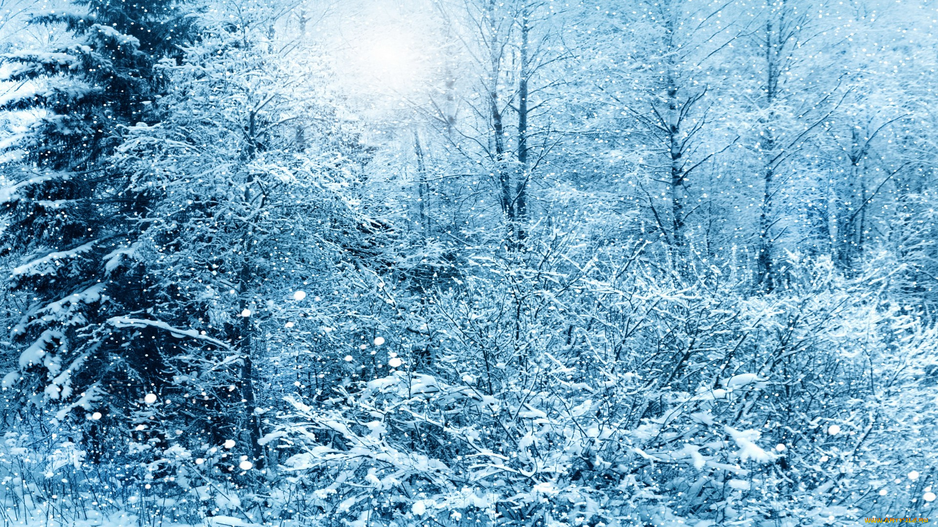 природа, зима, деревья, снег, tree, snow, nature, winter