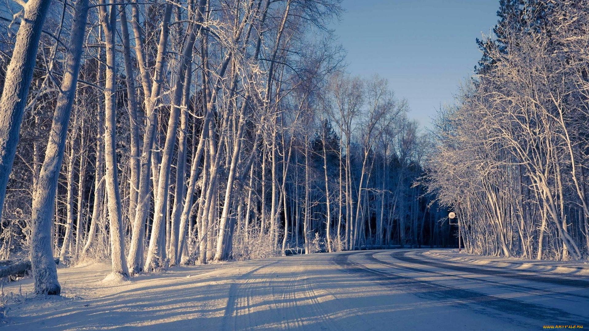 природа, зима, снег, дорога, деревья