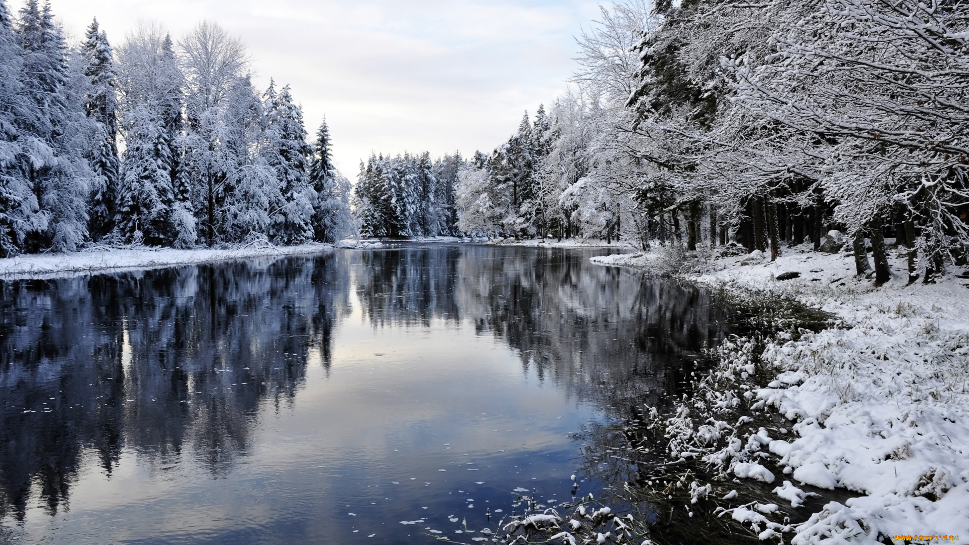 природа, зима, снег, snow, landscape, winter, деревья, река