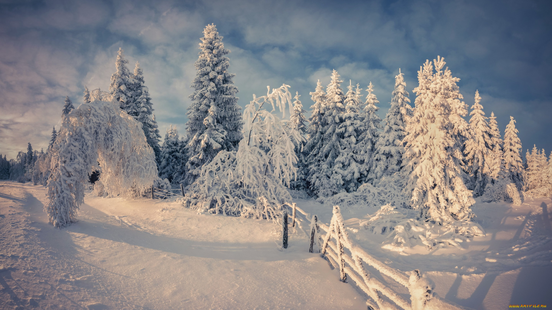 природа, зима, winter, nature, snow, tree, снег, деревья