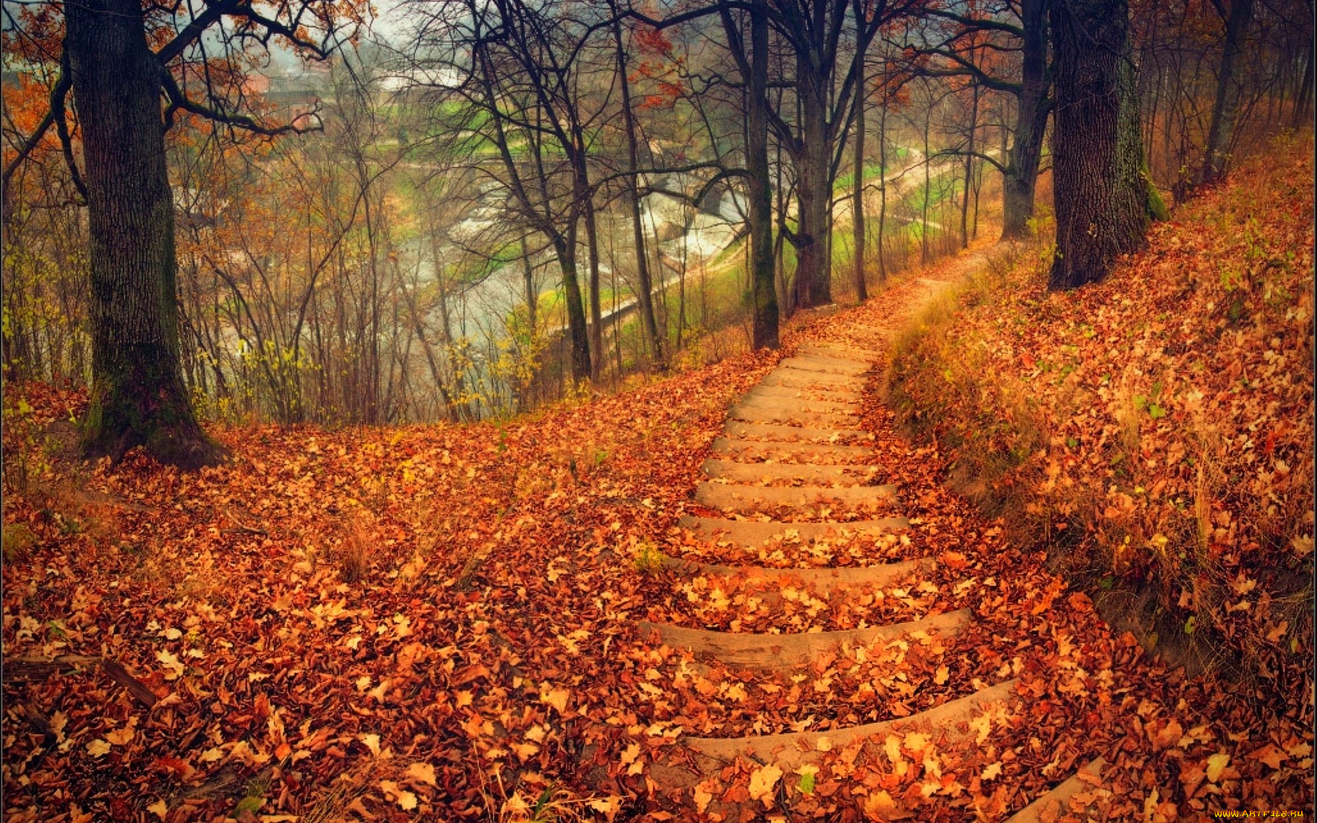 природа, дороги, осень, лестница